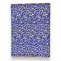 Wintersjaal met luipaardprint en franjes